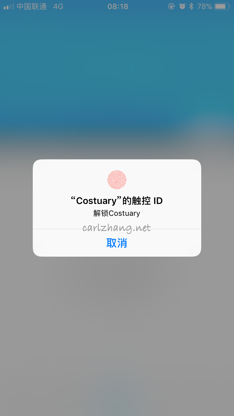 Costuary