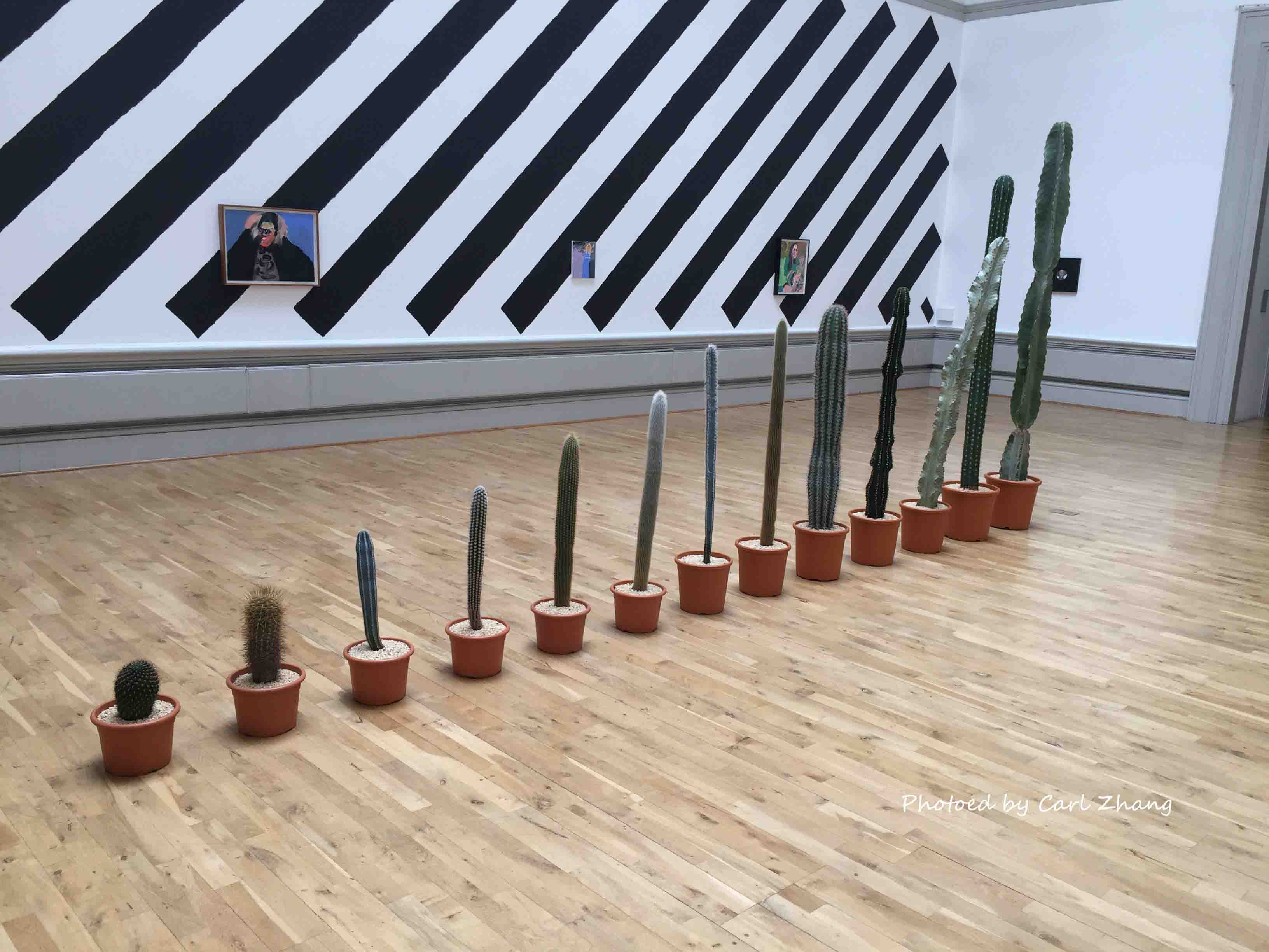 艺术展