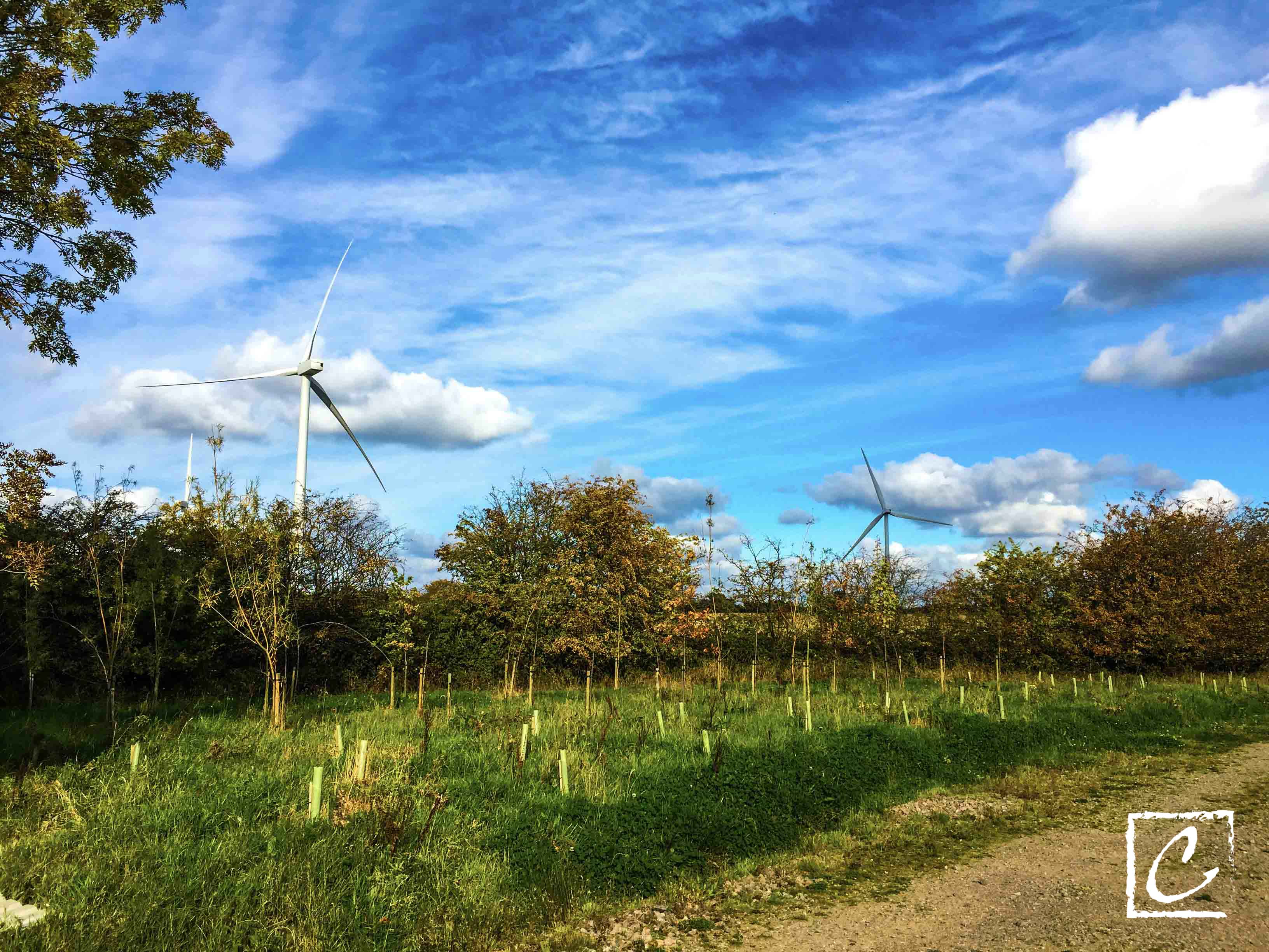 WindFarm